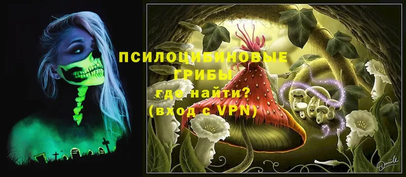 дарк нет официальный сайт  Кадников  Галлюциногенные грибы Magic Shrooms 